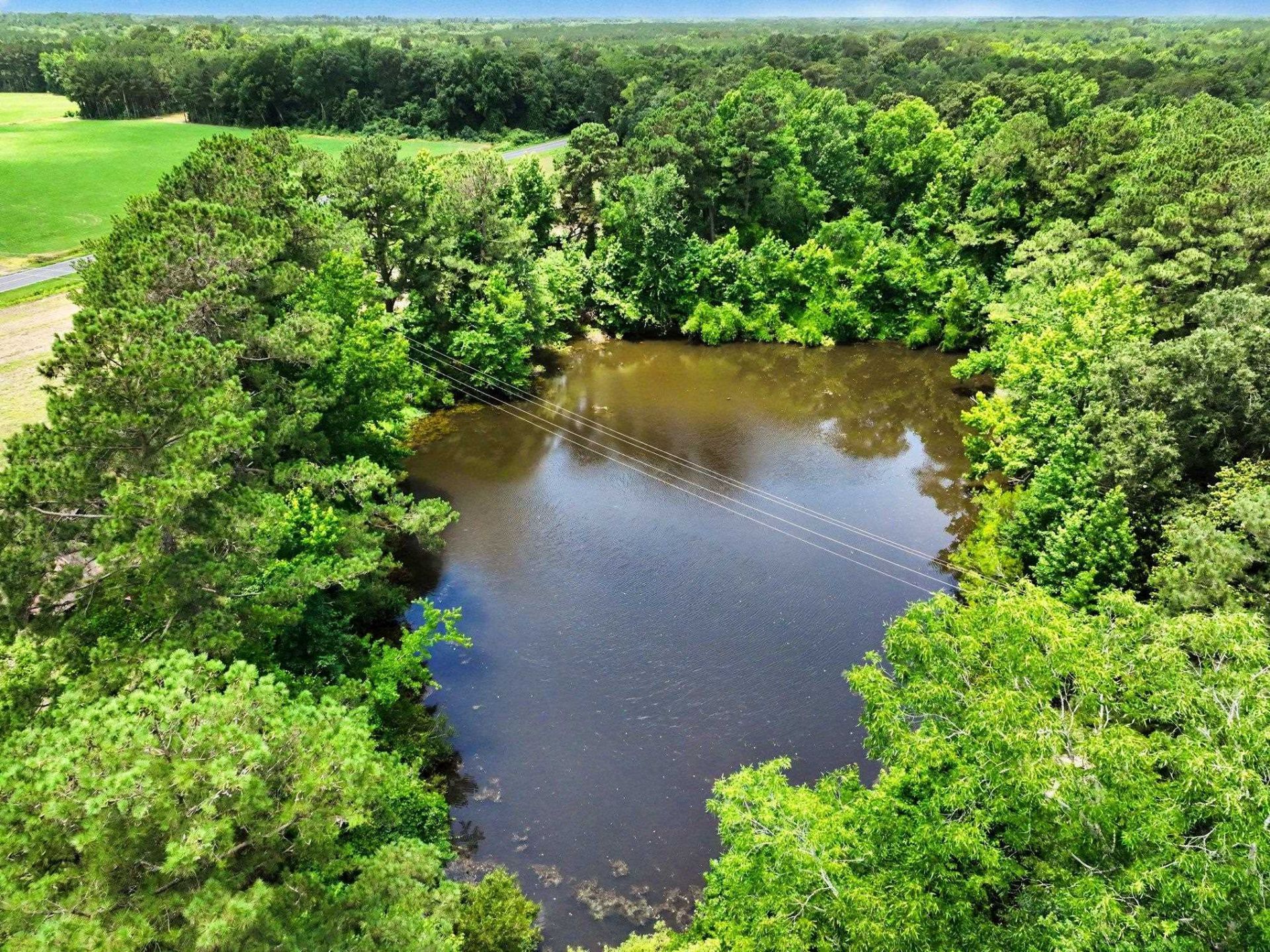 Tbd Mitchell Sea Rd. Photo 19