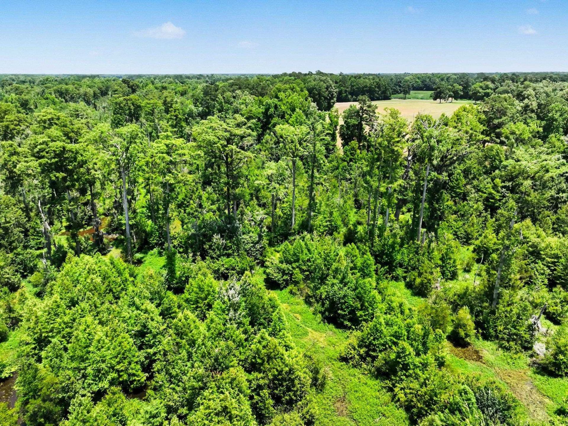 Tbd Mitchell Sea Rd. Photo 20