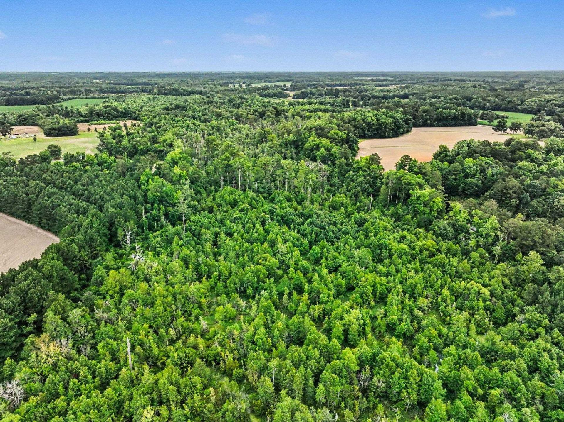 Tbd Mitchell Sea Rd. Photo 22