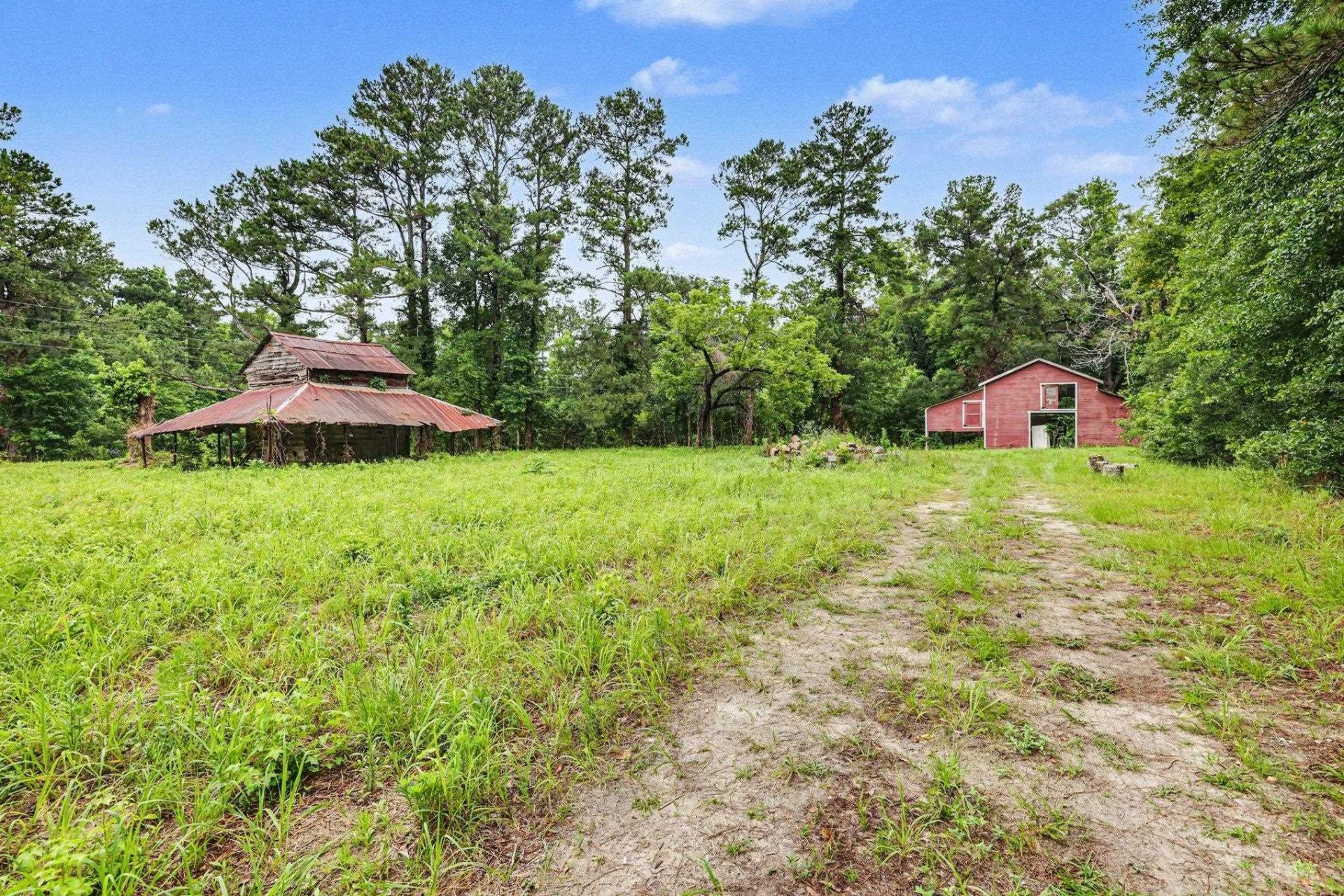 Tbd Mitchell Sea Rd. Photo 6