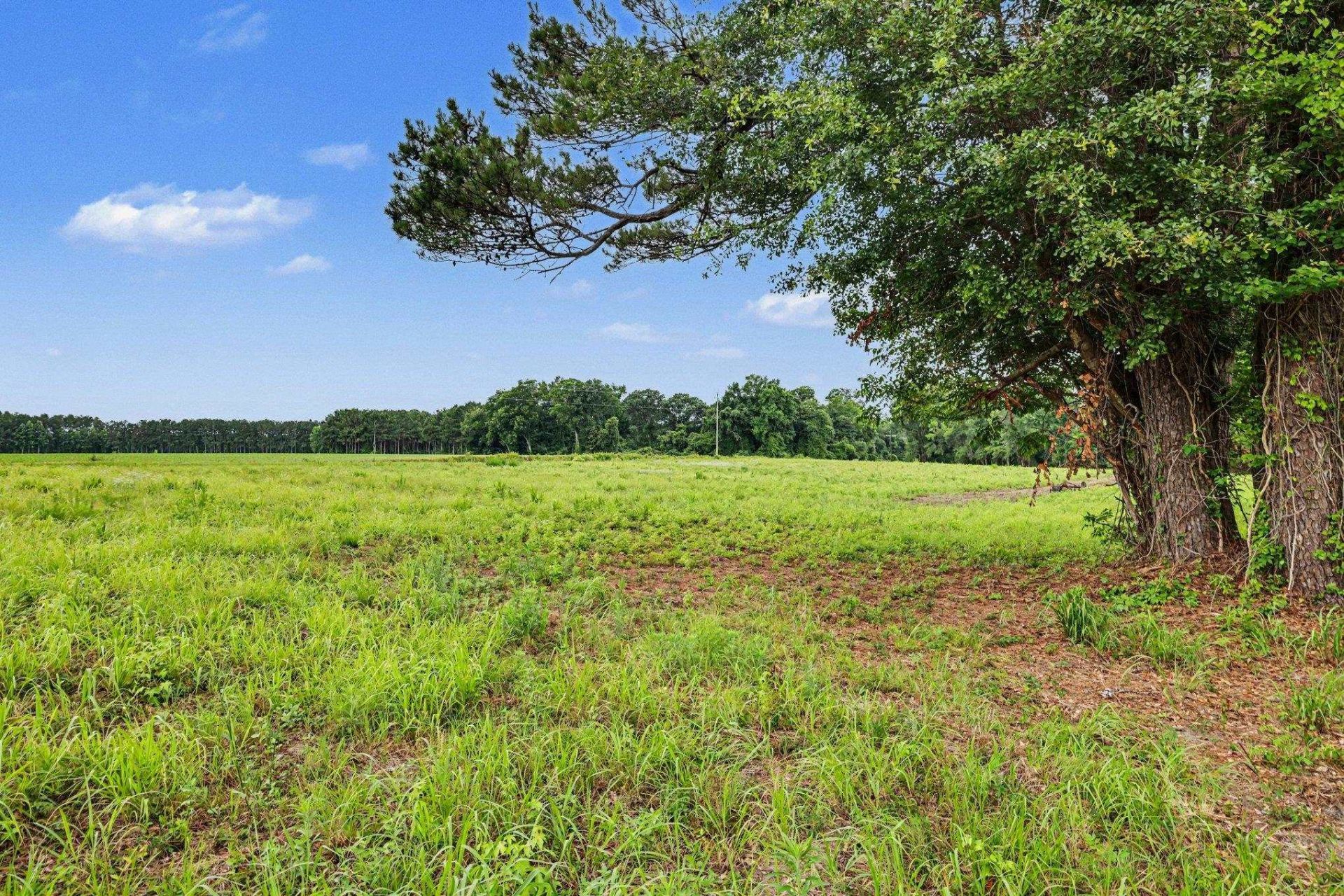 Tbd Mitchell Sea Rd. Photo 7