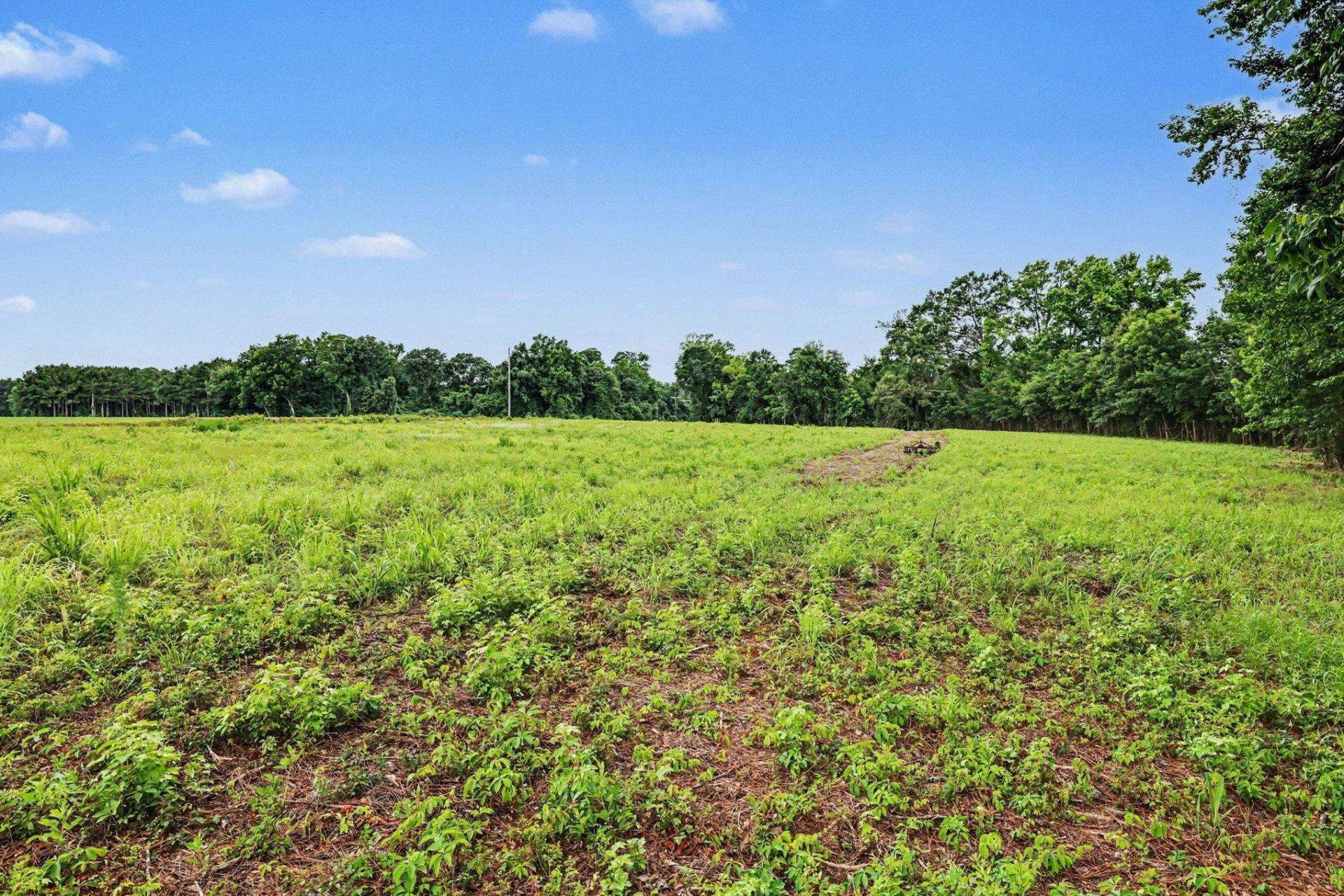 Tbd Mitchell Sea Rd. Photo 8