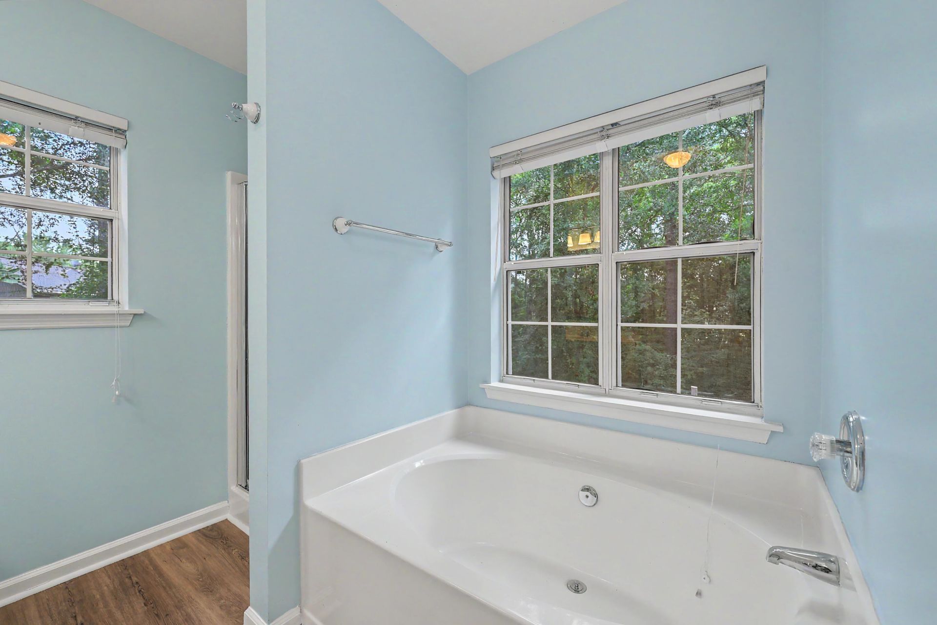 489 Antebellum Lane Photo 29