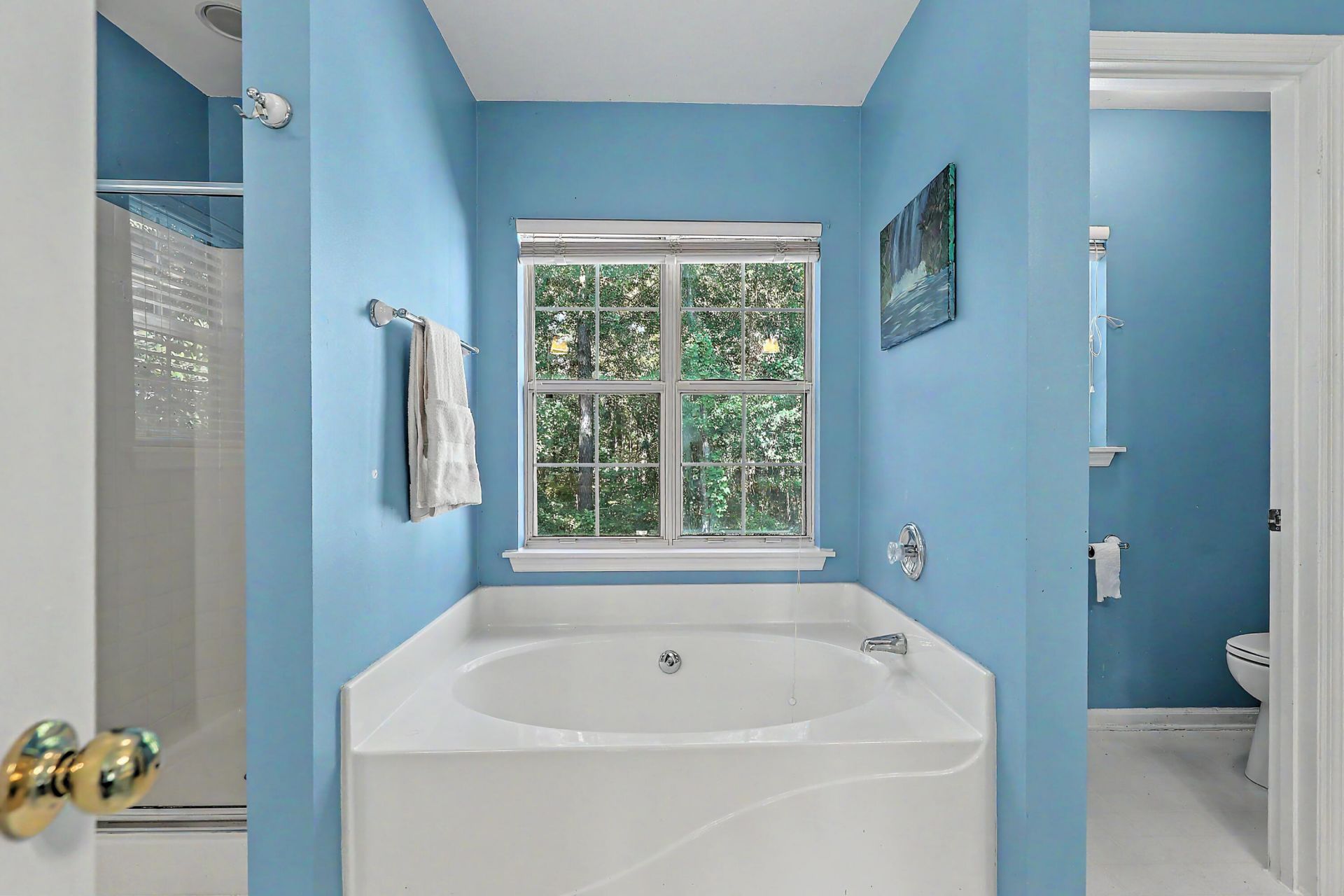 489 Antebellum Lane Photo 40