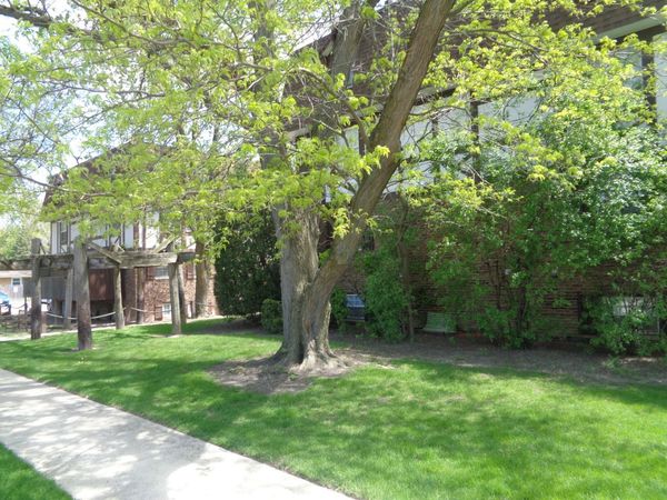 9437 86th Court , Unit 1W, Hickory Hills, IL 60457