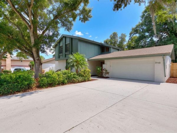 3948 ORCHARD HILL CIRCLE , PALM HARBOR, FL 34684