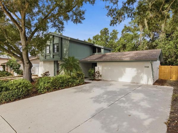 3948 ORCHARD HILL CIRCLE , PALM HARBOR, FL 34684
