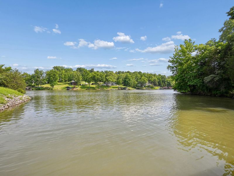 135 Harbour Pointe Drive, Williamstown, KY 41097 Photo 45
