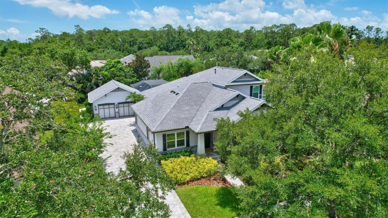 11908 Meridian Point Drive, Tampa, FL 33626 Photo
