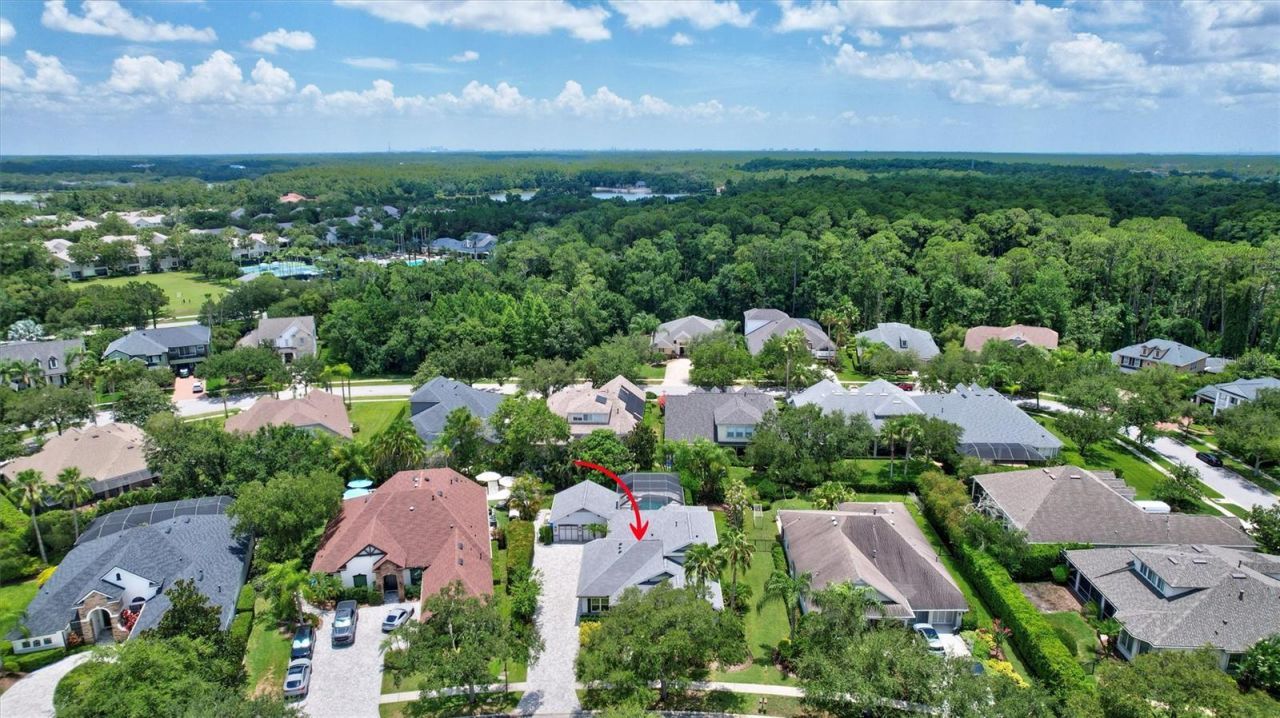 11908 Meridian Point Drive, Tampa, FL 33626 Photo