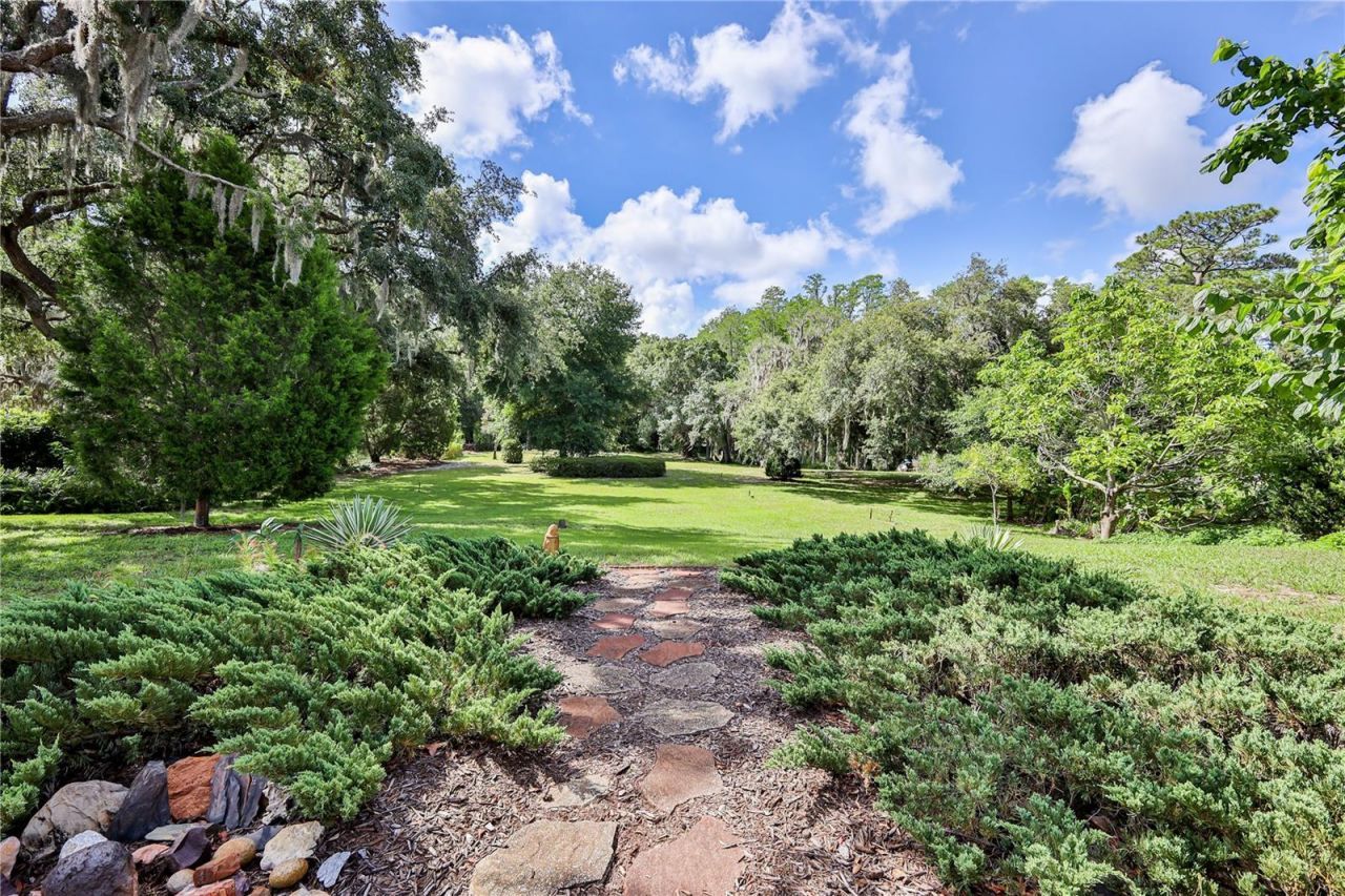8270 Sycamore Drive, New Port Richey, FL 34654 Photo