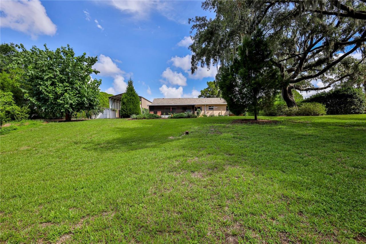 8270 Sycamore Drive, New Port Richey, FL 34654 Photo