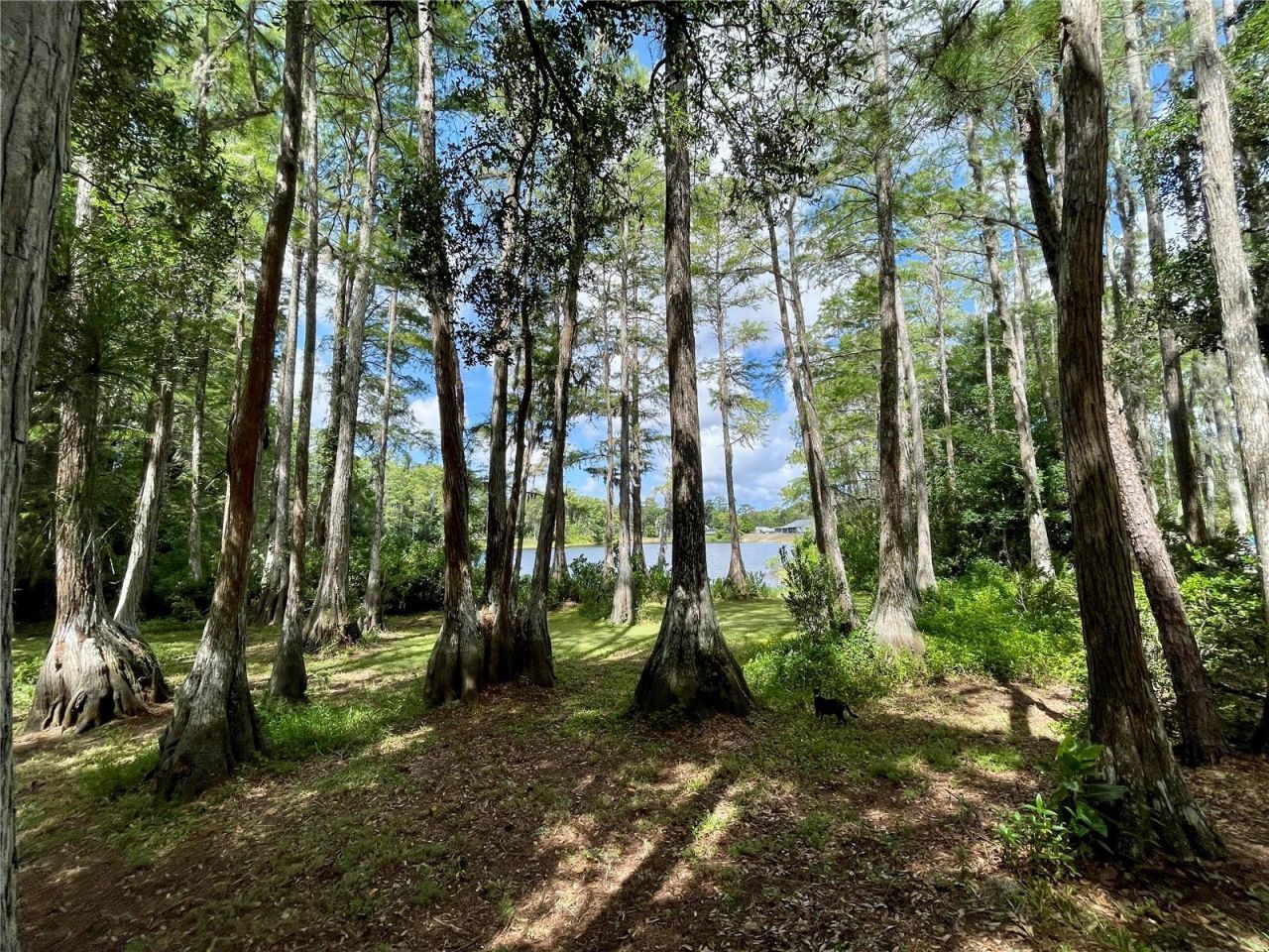 8270 Sycamore Drive, New Port Richey, FL 34654 Photo