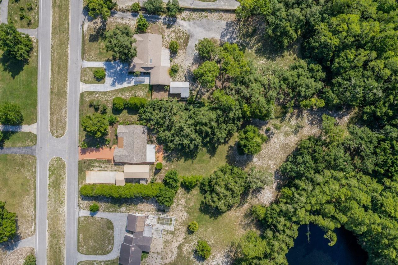 8270 Sycamore Drive, New Port Richey, FL 34654 Photo