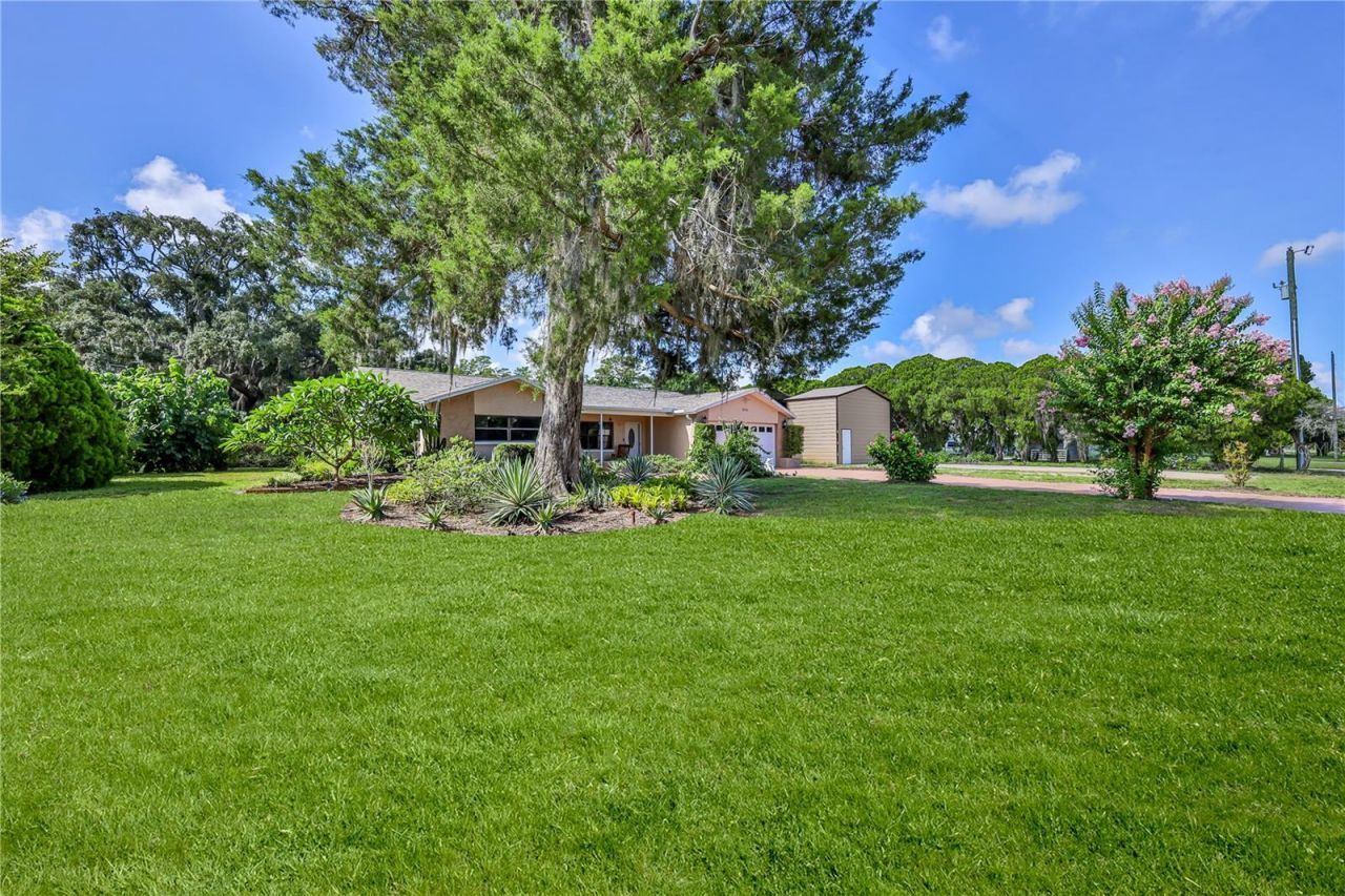8270 Sycamore Drive, New Port Richey, FL 34654 Photo