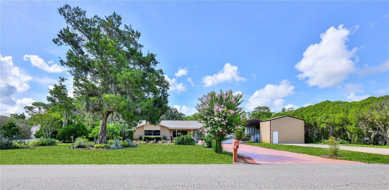 8270 Sycamore Drive, New Port Richey, FL 34654 Photo