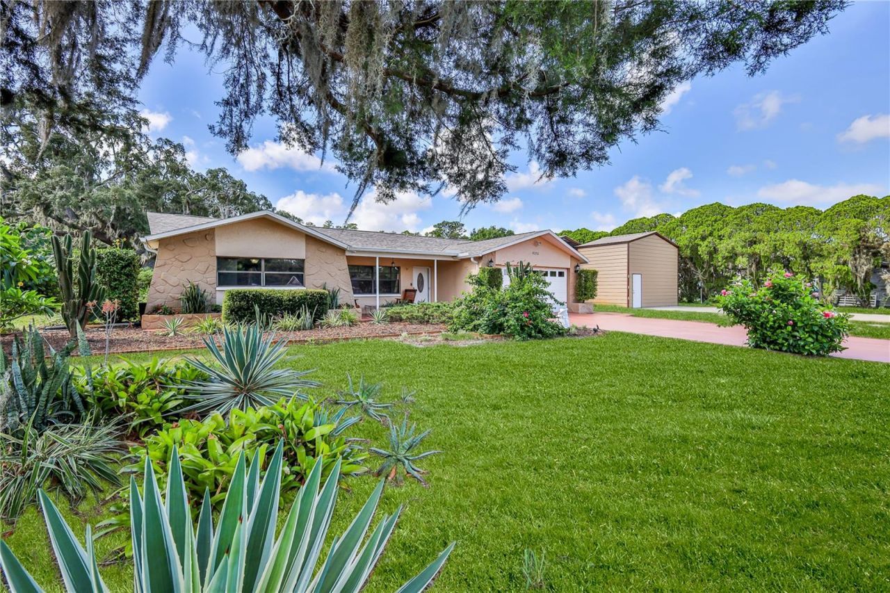 8270 Sycamore Drive, New Port Richey, FL 34654 Photo