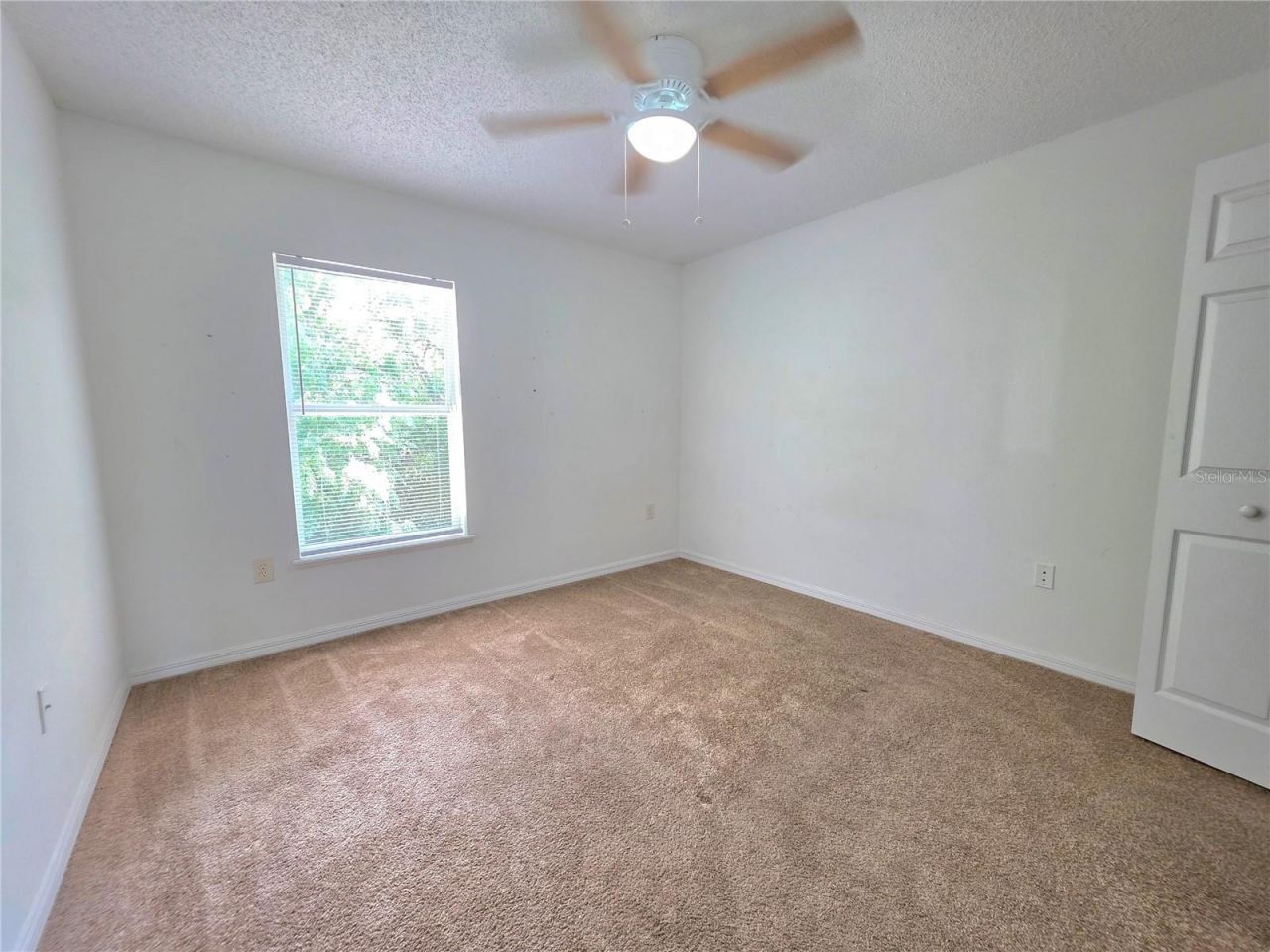 9055 Pemberton Street , Spring Hill, FL 34608 Photo