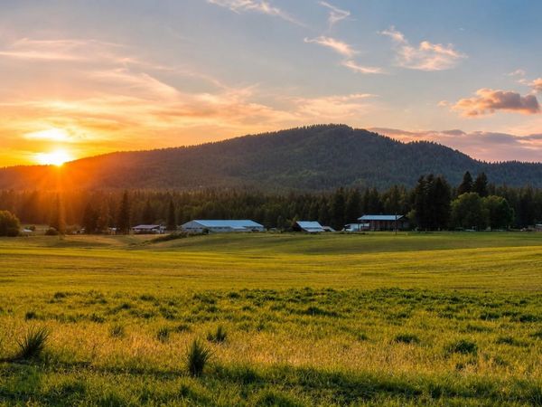 46XX Bittrich-Antler Rd, Deer Park, WA 99006