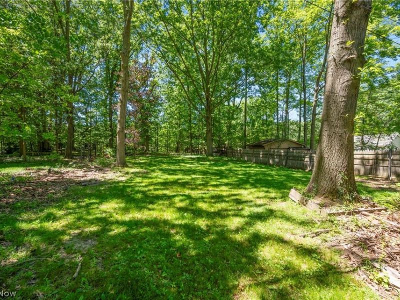 1784 Donwell Drive, South Euclid, OH 44121 Photo 37