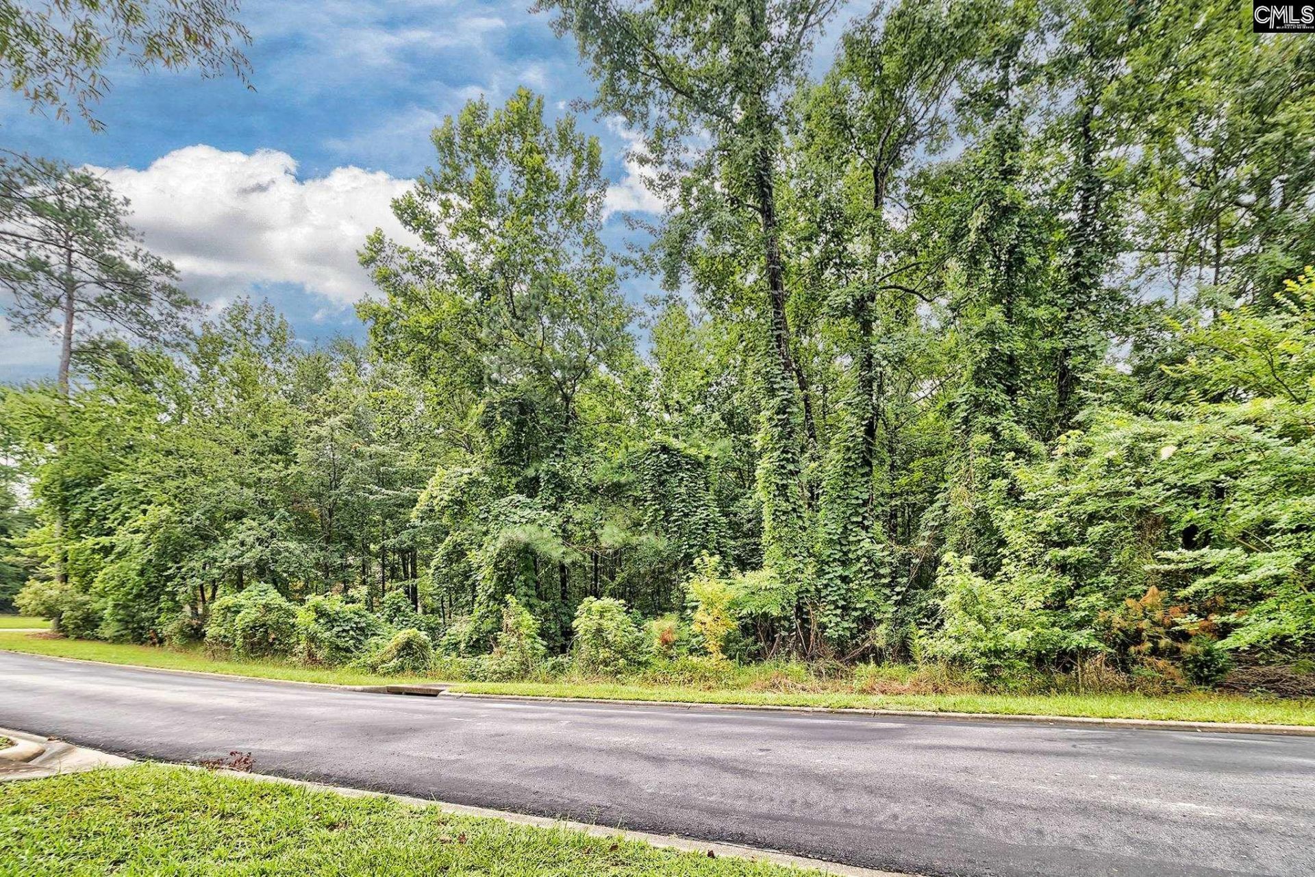 0 Kelsey Glen Drive  Photo 4
