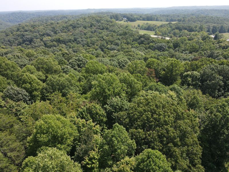 24630 Turner Road , South Bloomingville, OH 43152 Photo 11