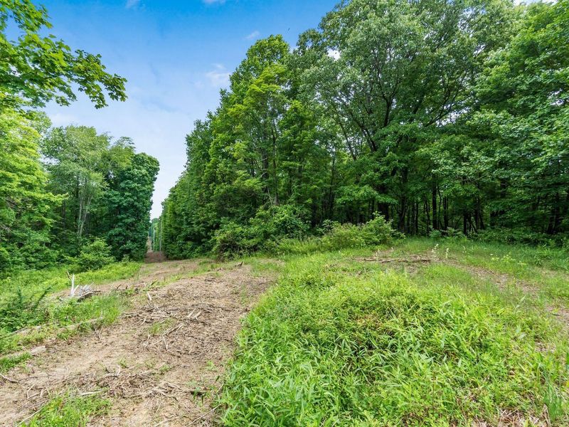 24630 Turner Road , South Bloomingville, OH 43152 Photo 14