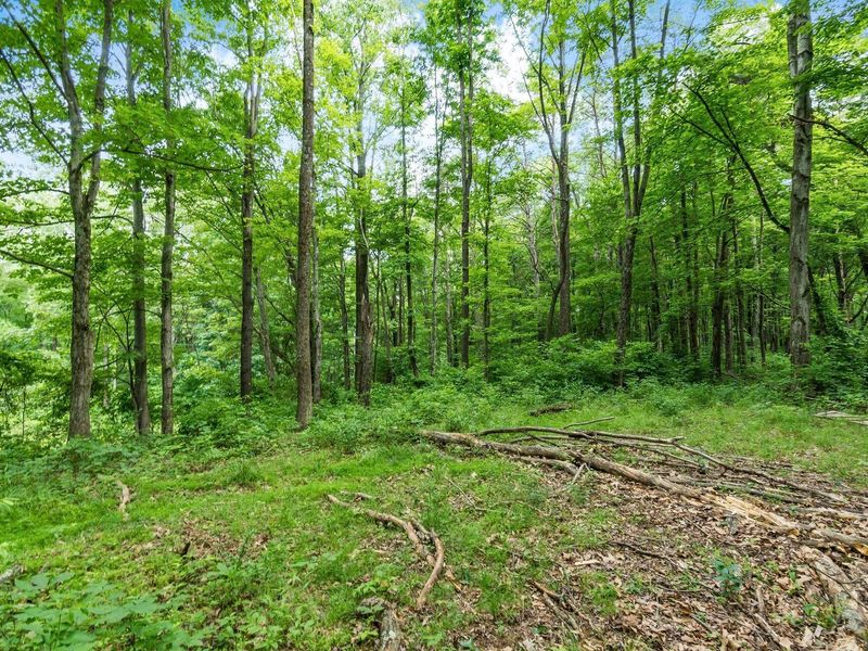 24630 Turner Road , South Bloomingville, OH 43152 Photo 15