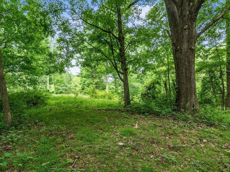 24630 Turner Road , South Bloomingville, OH 43152 Photo 18