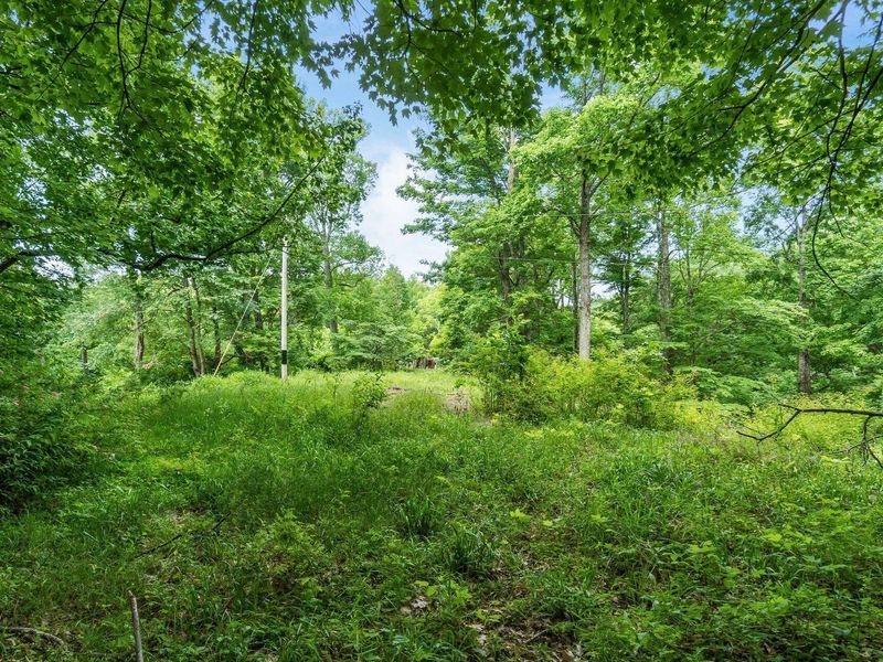 24630 Turner Road , South Bloomingville, OH 43152 Photo 20