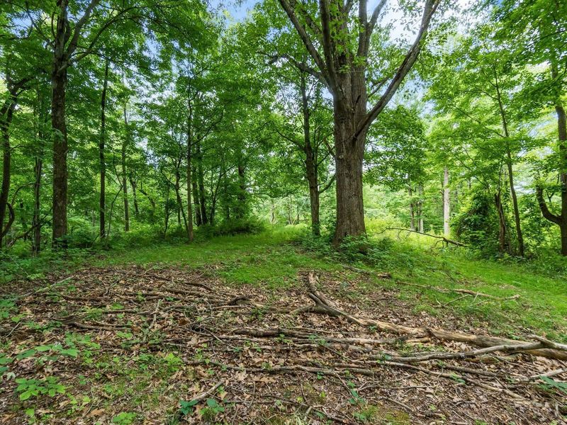 24630 Turner Road , South Bloomingville, OH 43152 Photo 21