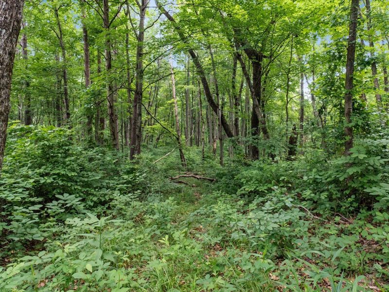 24630 Turner Road , South Bloomingville, OH 43152 Photo 23