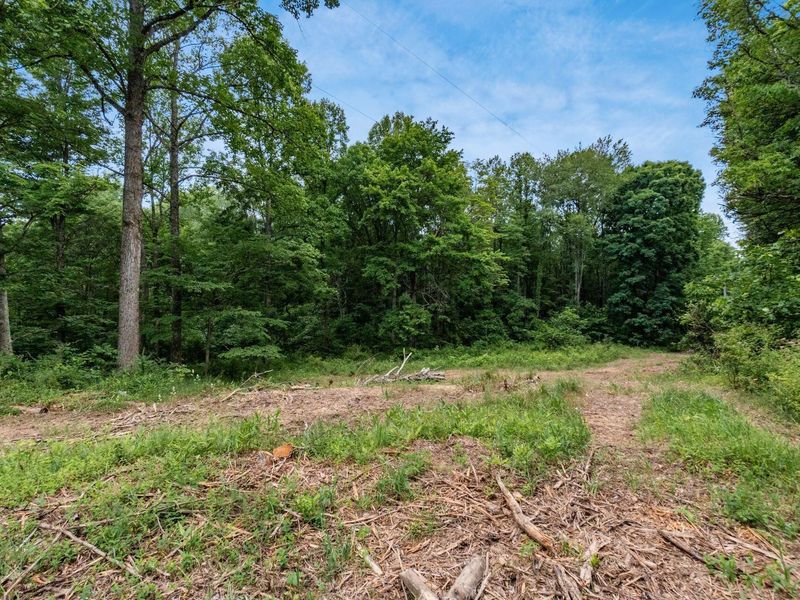 24630 Turner Road , South Bloomingville, OH 43152 Photo 24