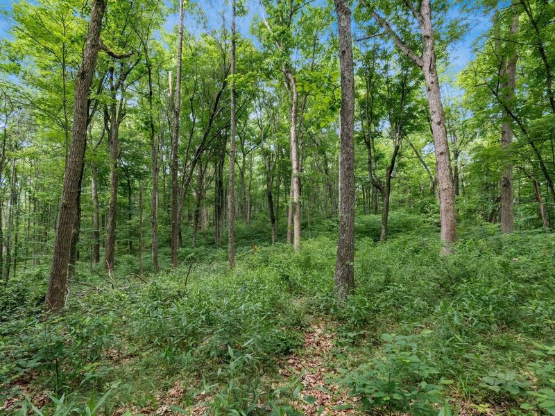 24630 Turner Road , South Bloomingville, OH 43152 Photo 35