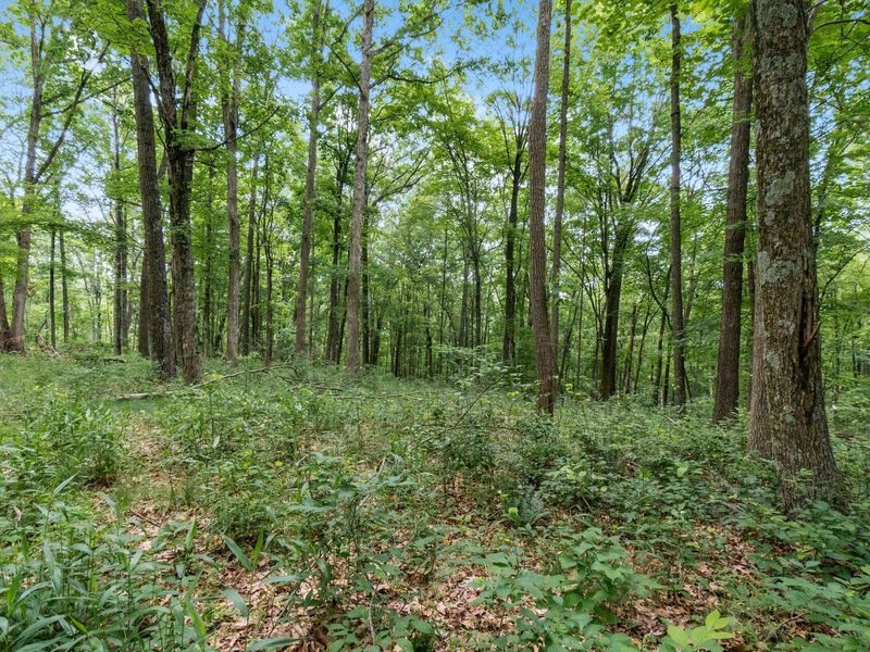 24630 Turner Road , South Bloomingville, OH 43152 Photo 36