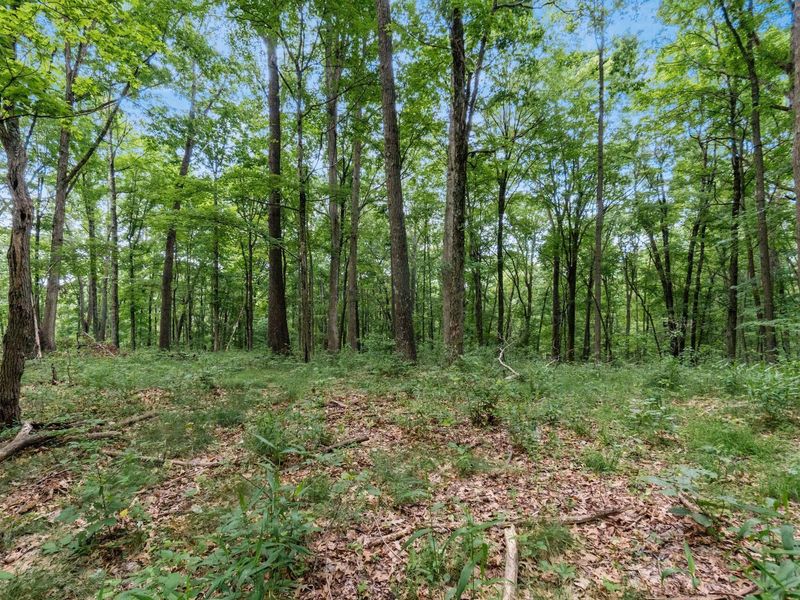 24630 Turner Road , South Bloomingville, OH 43152 Photo 37