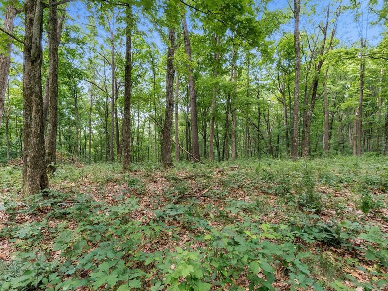 24630 Turner Road , South Bloomingville, OH 43152 Photo 39