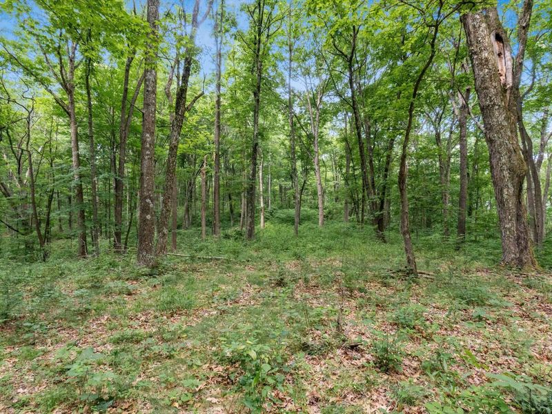 24630 Turner Road , South Bloomingville, OH 43152 Photo 40