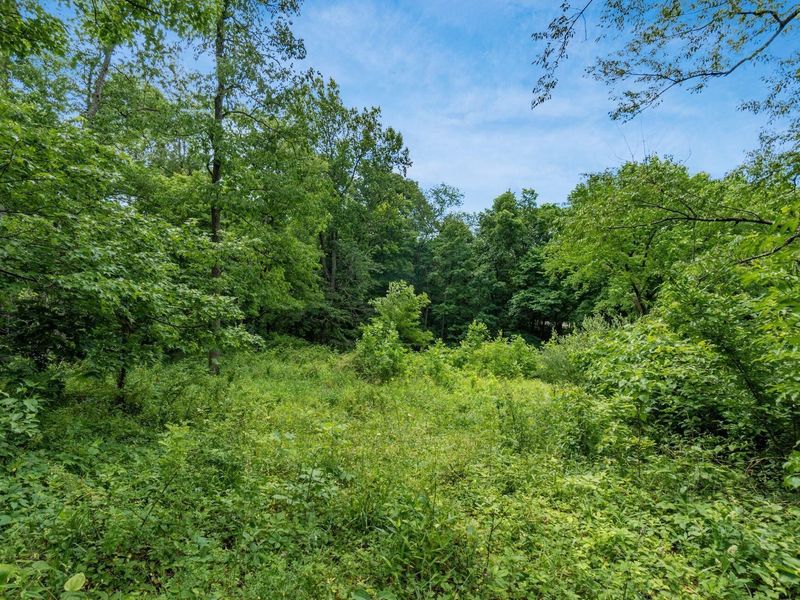 24630 Turner Road , South Bloomingville, OH 43152 Photo 42