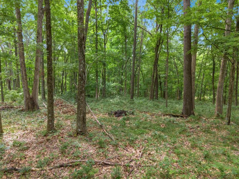 24630 Turner Road , South Bloomingville, OH 43152 Photo 44