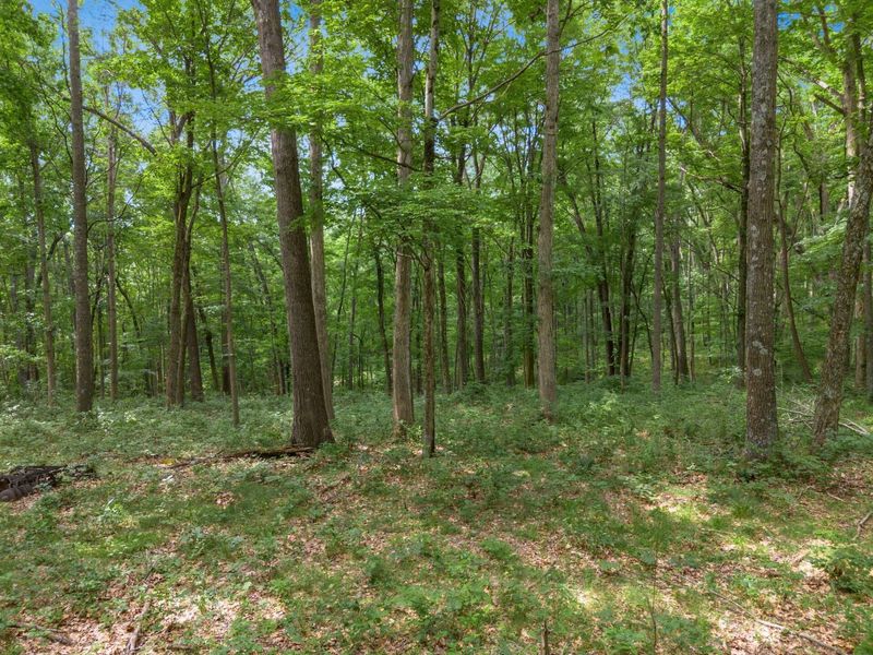 24630 Turner Road , South Bloomingville, OH 43152 Photo 46