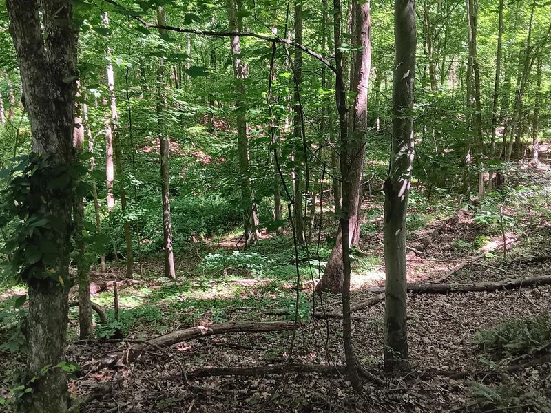 0 681 Road , Unit (Albany Hi, Albany, OH 45710 Photo 25
