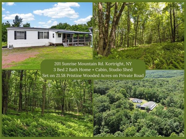 201 Sunrise Mountain Road , Bloomville, NY 13739
