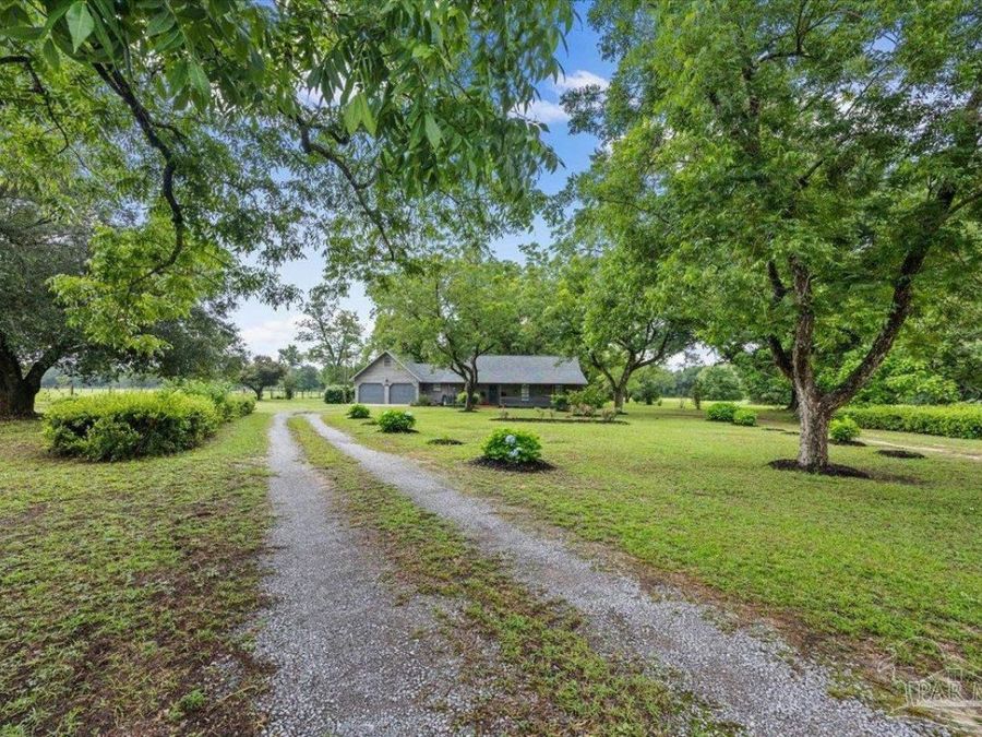 Property Image 49