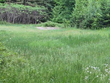 TBD Lots 313, 350, 351 195th Place , McGregor, MN 55760