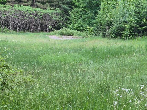 TBD Lots 313, 350, 351 195th Place , McGregor, MN 55760