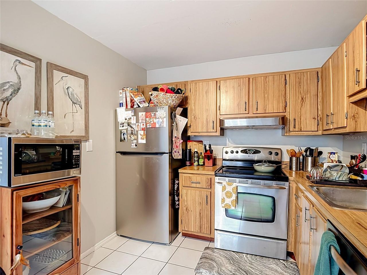 11805 Raintree Lake Ln, Unit B, Temple Terrace, FL 33617 Photo