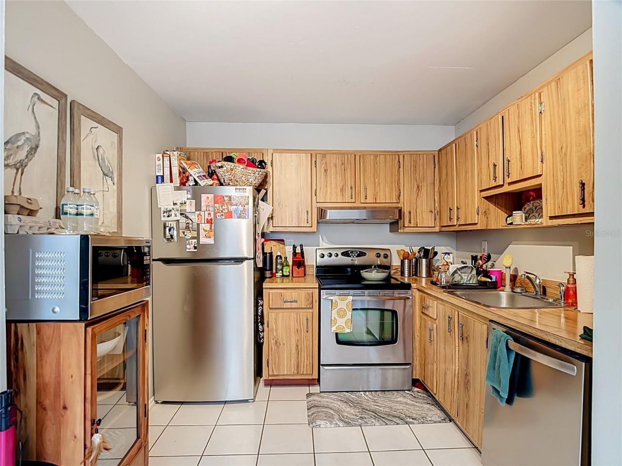 11805 Raintree Lake Ln, Unit B, Temple Terrace, FL 33617 Photo