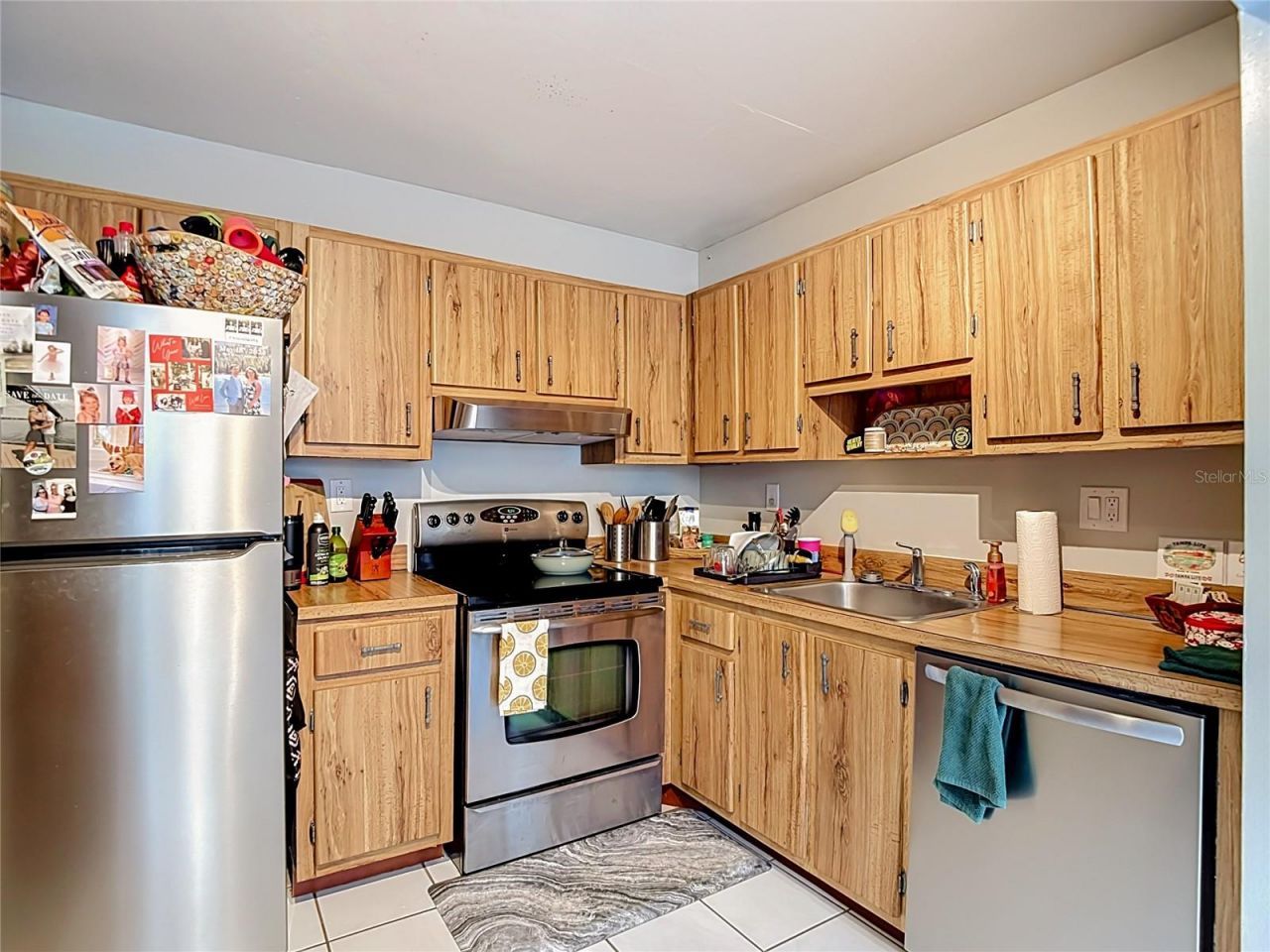11805 Raintree Lake Ln, Unit B, Temple Terrace, FL 33617 Photo