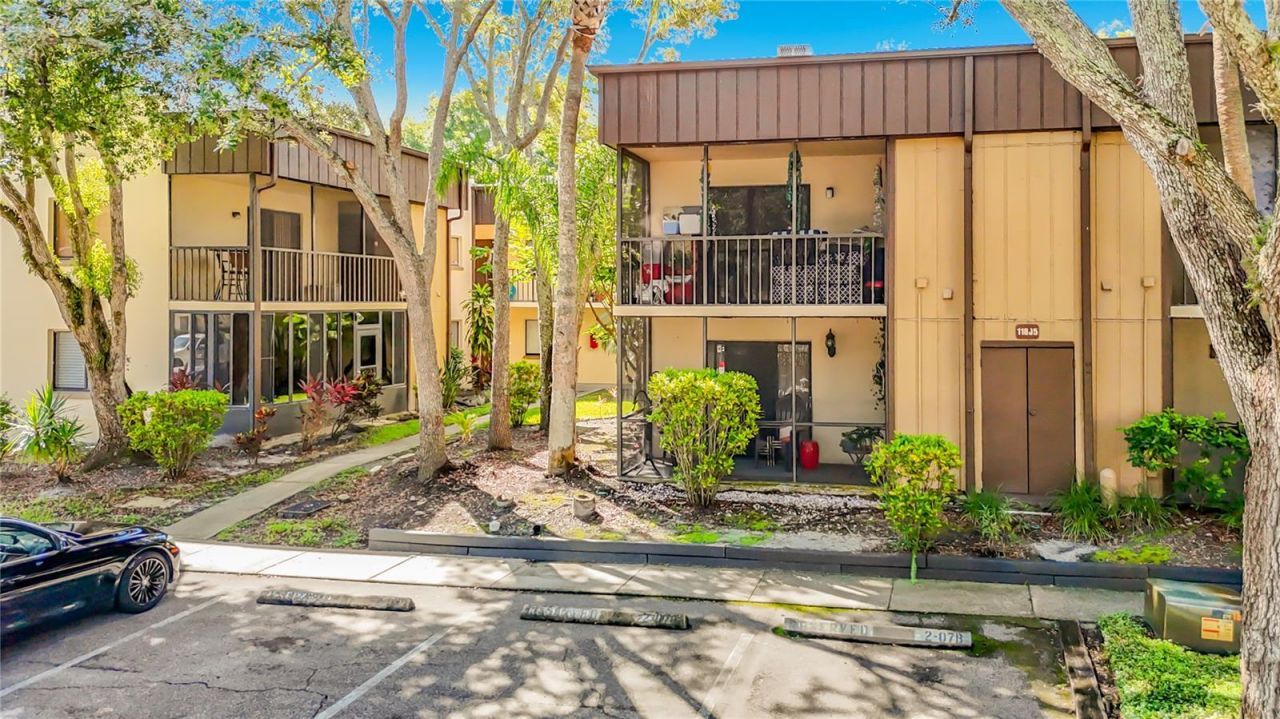 11805 Raintree Lake Ln, Unit B, Temple Terrace, FL 33617 Photo